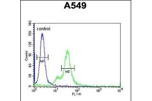 M6PR Antibody (C-term) (ABIN650726 and ABIN2839414) flow cytometric analysis of A549 cells (right histogram) compared to a negative control cell (left histogram). (M6PR Antikörper  (C-Term))