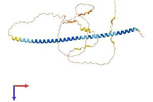 GPS2 Protein (AA 1-327) (His tag)