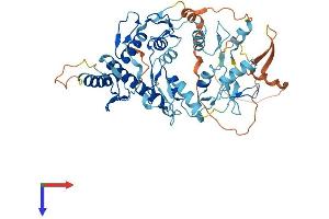 HINFP Protein (AA 1-517) (His tag)