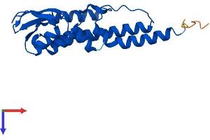 GINS2 Protein (AA 1-185) (His tag)