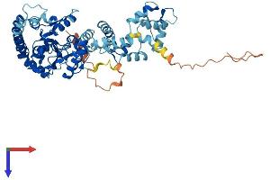LPCAT2 Protein (AA 1-544) (His tag)