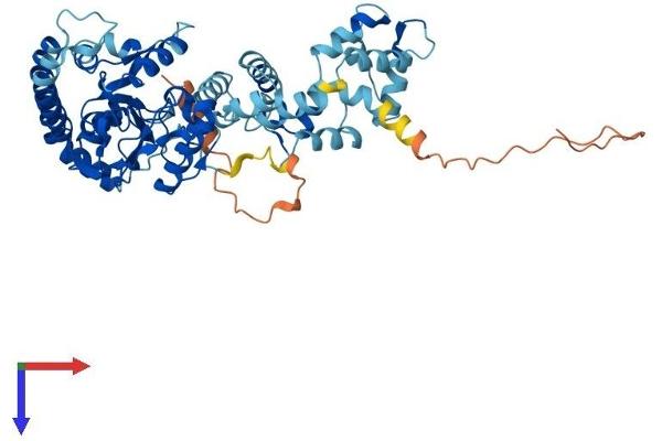 LPCAT2 Protein (AA 1-544) (His tag)