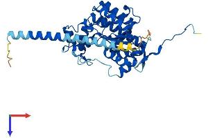 HS2ST1 Protein (AA 1-356) (His tag)