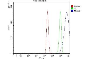 anti-Acyl-CoA Synthetase Short-Chain Family Member 2 (ACSS2) (AA 201-651) antibody