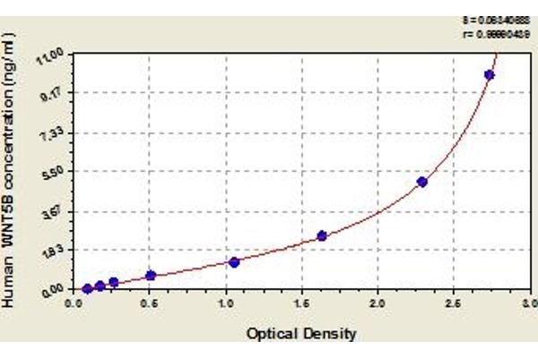 WNT5B ELISA Kit