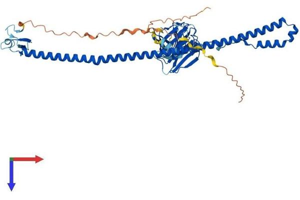 BSPRY Protein (AA 1-473) (His tag)