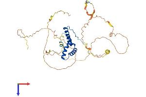 SOX3 Protein (AA 1-375) (His tag)