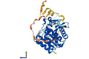 Protein Structure (PS) image for Abhydrolase Domain Containing 17C (ABHD17C) (AA 1-329) protein (His tag) (ABIN7551820)