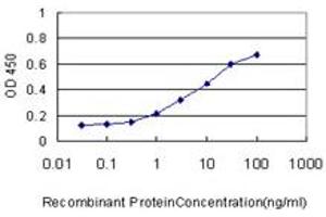 ELISA image for anti-RAB43, Member RAS Oncogene Family (RAB43) (AA 113-211) antibody (ABIN599343) (RAB43 Antikörper  (AA 113-211))