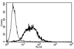 Flow Cytometry (FACS) image for anti-Mast/stem Cell Growth Factor Receptor (KIT) antibody (Biotin) (ABIN1105764) (KIT Antikörper  (Biotin))