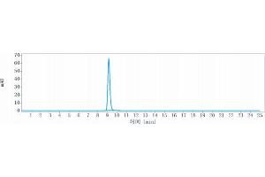 The purity of Anti-CD4 Reference Antibody (ibalizumab) is more than 95 % , determined by SEC-HPLC. (Rekombinanter CD4 (Ibalizumab Biosimilar) Antikörper)