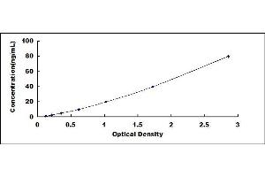 Typical standard curve (TIMP1 ELISA Kit)