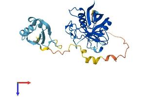 PPIE Protein (AA 1-301) (His tag)