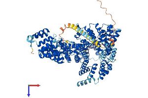 NARG1L Protein (AA 1-864) (His tag)