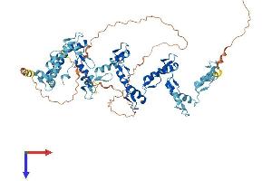 ZNF133 Protein (AA 1-654) (His tag)