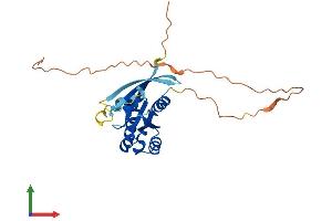 AlphaFold protein structure predicition of Human Recombinant RAB6C Protein, UniprotID Q9H0N0