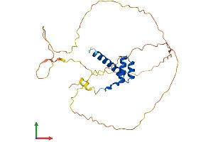 Protein Structure (PS) image for Homeobox A9 (HOXA9) (AA 1-272) protein (His tag) (ABIN7548463)