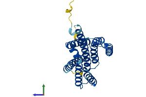 AlphaFold protein structure predicition of Mouse Recombinant Tmbim6 Protein, UniprotID Q9D2C7