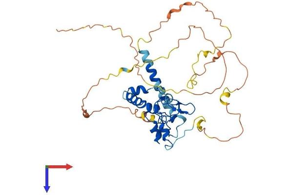 CDCA7 Protein (AA 1-382) (His tag)