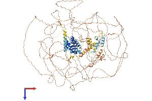 GPRASP1 Protein (AA 1-1395) (His tag)