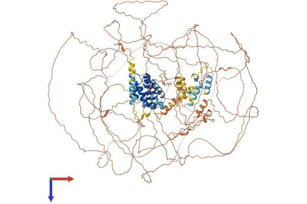 GPRASP1 Protein (AA 1-1395) (His tag)