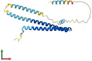 AlphaFold protein structure predicition of Human Recombinant CHMP2A Protein, UniprotID O43633