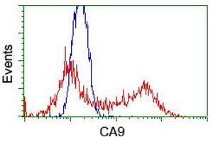 Flow Cytometry (FACS) image for anti-Carbonic Anhydrase IX (CA9) antibody (ABIN1497095) (CA9 Antikörper)