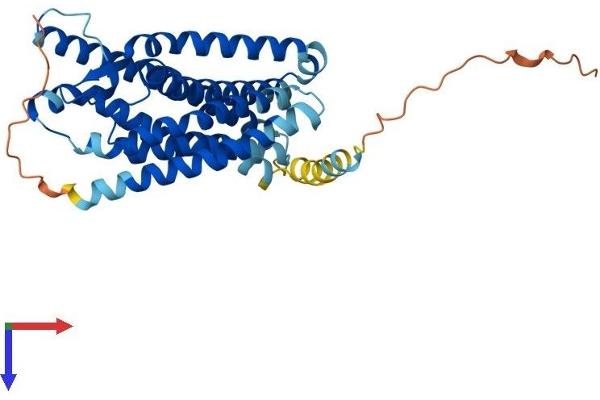 FPR3 Protein (AA 1-353) (His tag)