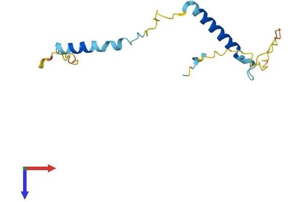 Pcp2 Protein (AA 1-136) (His tag)