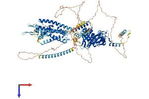 KCNH5 Protein (AA 1-988) (His tag)