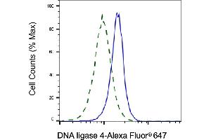 Validation of DNA ligase 4 knockdown using flow cytometry. (Rekombinanter LIG4 Antikörper)