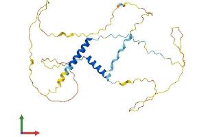 AlphaFold protein structure predicition of Human Recombinant PRR18 Protein, UniprotID Q8N4B5 (Proline Rich 18 Protein (PRR18) (AA 1-295) (His tag))