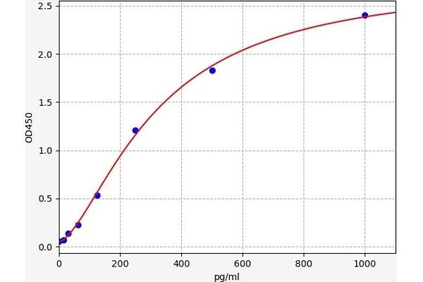 Attractin ELISA Kit