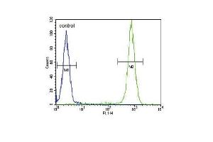 IL4 Antibody (C-term) (ABIN651434 and ABIN2840238) flow cytometric analysis of WiDr cells (right histogram) compared to a negative control cell (left histogram).