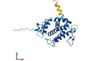 Protein Structure (PS) image for MOB Family Member 4, Phocein (MOBKL3) (AA 1-225) protein (His tag) (ABIN7550699)