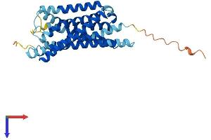 GPR35 Protein (AA 1-307) (His tag)