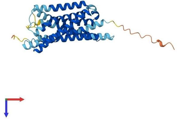 GPR35 Protein (AA 1-307) (His tag)