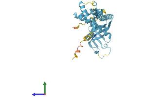 AlphaFold protein structure predicition of Human Recombinant EIF2S1 Protein, UniprotID P05198