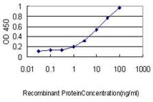 Detection limit for recombinant GST tagged RAB4A is approximately 0. (Rab4 Antikörper  (AA 1-218))