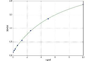 Angiopoietin-Like 1 (ANGPTL1) ELISA Kit