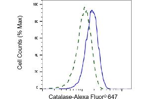 Validation of Catalase knockdown using flow cytometry.