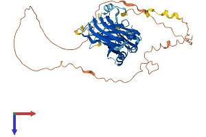 SYT17 Protein (AA 1-470) (His tag)