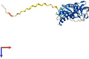 GIPC3 Protein (AA 1-312) (His tag)