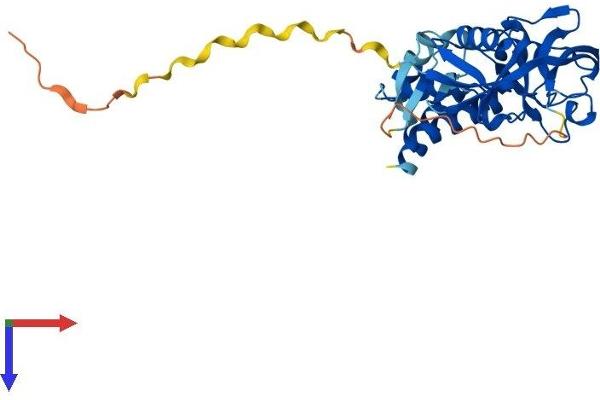 GIPC3 Protein (AA 1-312) (His tag)
