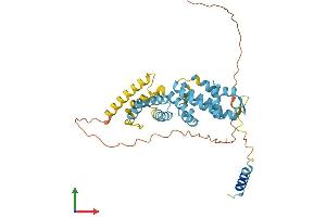 AlphaFold protein structure predicition of Mouse Recombinant Psmd8 Protein, UniprotID Q9CX56