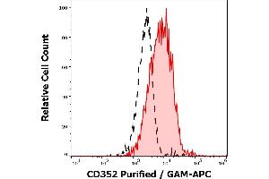 Separation of lymphocytes stained using anti-CD352 (hsF6. (SLAMF6 Antikörper)