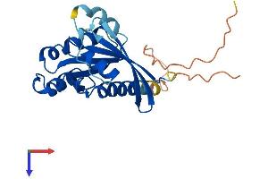 RAB19 Protein (AA 1-217) (His tag)