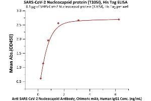 Immobilized SARS-CoV-2 Nucleocapsid protein (T205I), His Tag (ABIN6992416) at 1 μg/mL (100 μL/well) can bind A-CoV-2 Nucleocapsid Antibody, Chimeric mAb, Human IgG1 with a linear range of 0. (SARS-CoV-2 Nucleocapsid Protein (SARS-CoV-2 N) (T205I) (His tag))