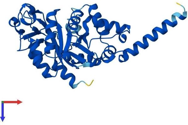 GDPD1 Protein (AA 1-314) (His tag)