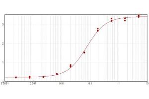 ELISA results of purified Rabbit Anti-Cyclin D3 Antibody tested against BSA-conjugated peptide of cyclin D3 peptide. (Cyclin D3 Antikörper  (C-Term))